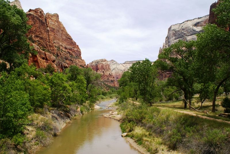 North Fork Virgin River