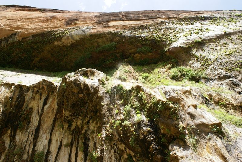 Weeping Rock