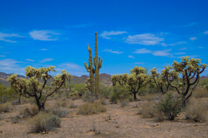 Apache Trail Historic Road