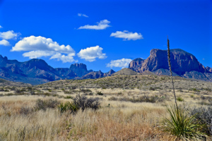 Big Bend National Park