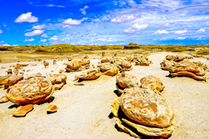 Bisti/De-Na-Zin Wilderness
