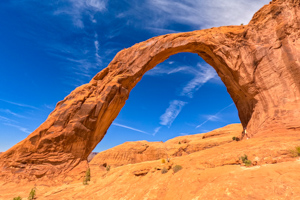 Bowtie & Corona Arches