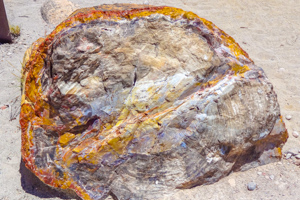 Escalante Petrified Forest State Park