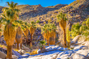 Indian Canyons