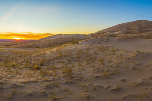 Mojave National Preserve