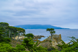 Monterey