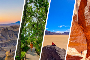 MyRoadTrippin : aide personnalisée pour organiser votre voyage aux USA