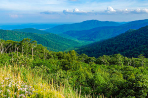 Shenandoah National Park