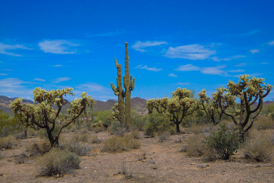 Apache Trail Historic Road