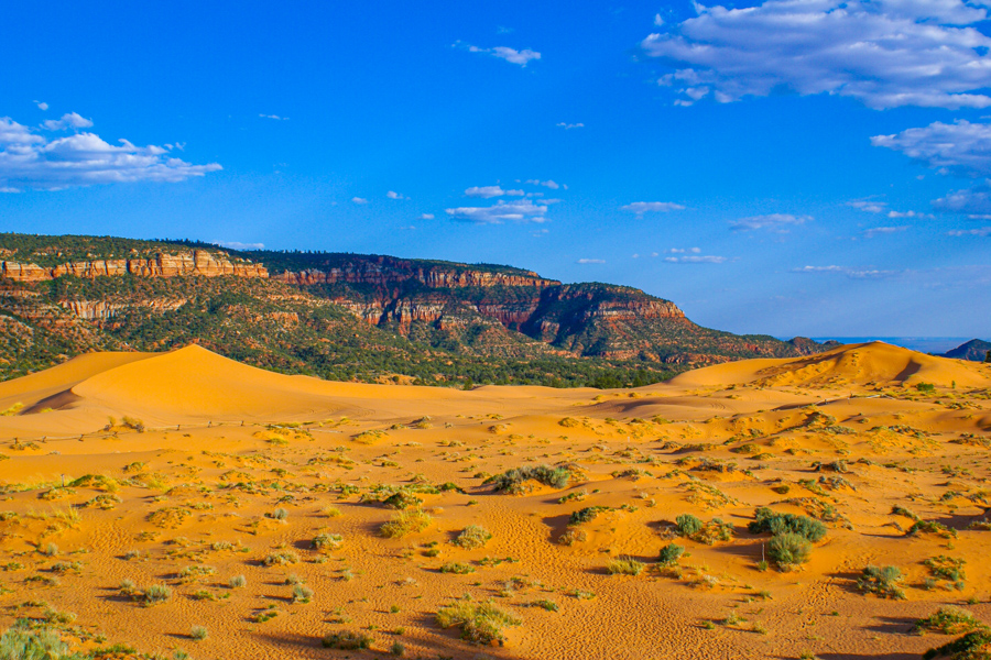 Coral Pink Sand Dunes SP