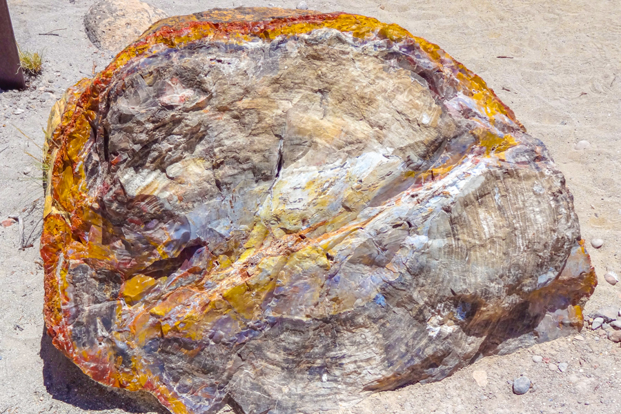 Escalante Petrified Forest SP