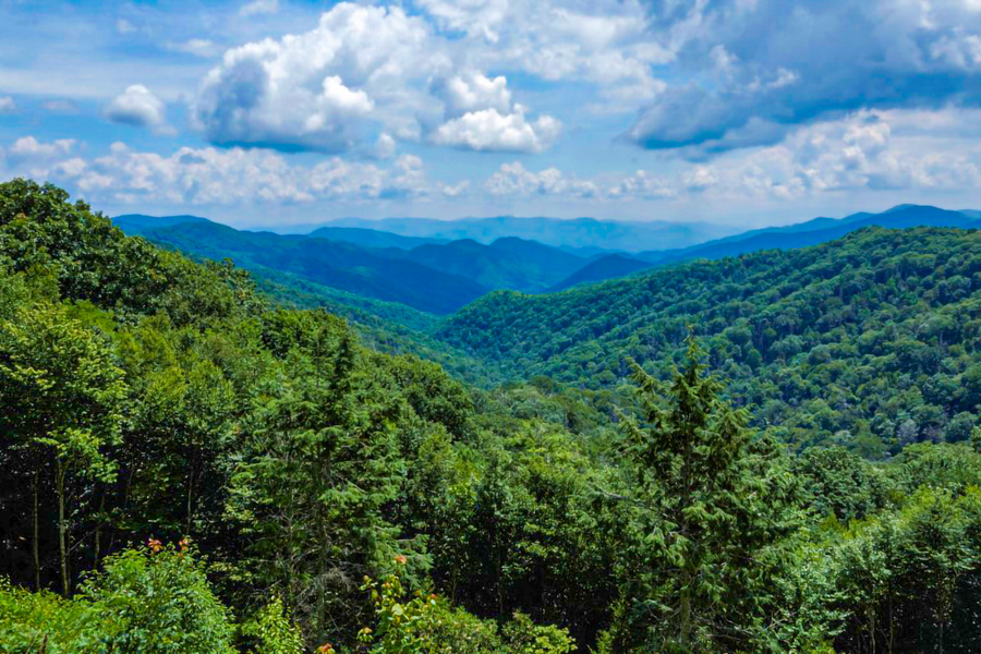 Great Smoky Mountains NP