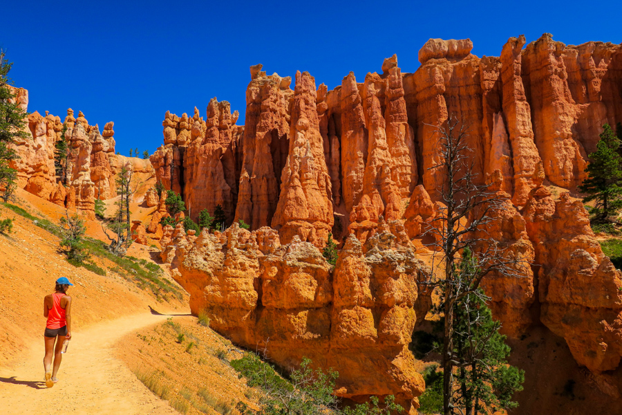 Les parcs des États-Unis