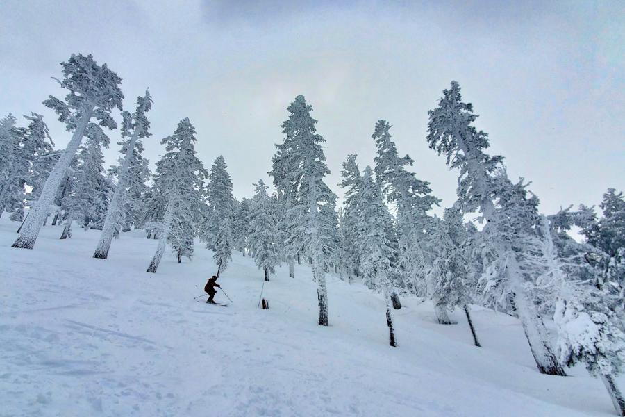 Diamond Peak Resort