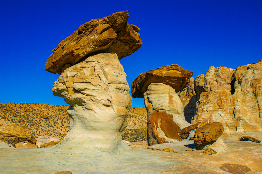 Stud Horse Point
