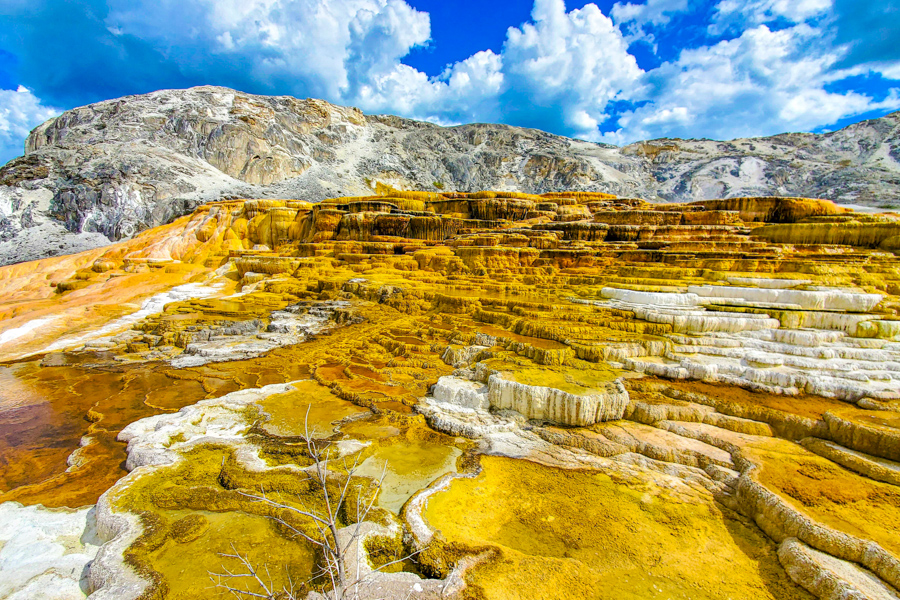 Mammoth Hot Springs Area